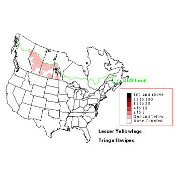 Lesser Yellowlegs distribution map