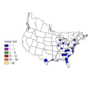 Gray-cheeked Thrush winter distribution map