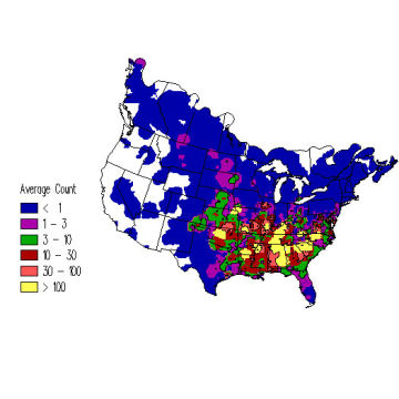 Rusty Blackbird winter distribution map