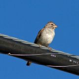 Tucson, Arizona - August 25, 2012