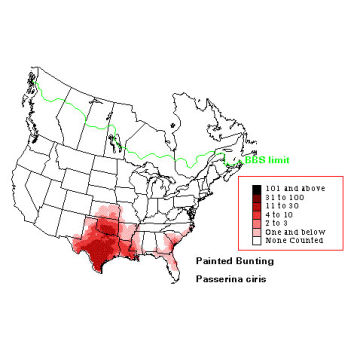 Painted Bunting distribution map