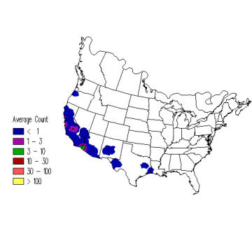 Violet-green Swallow winter distribution map