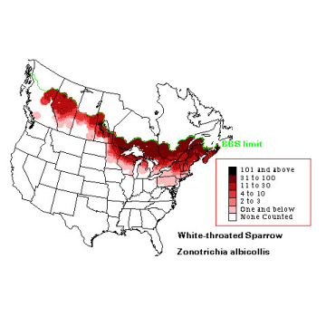 White-throated Sparrow distribution map