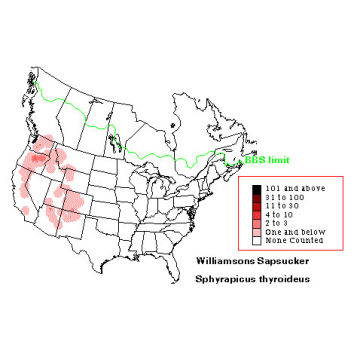 Williamson's Sapsucker distribution map