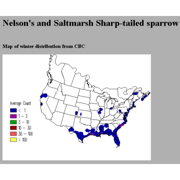 Saltmarsh Sharp-tailed Sparrow winter distribution map