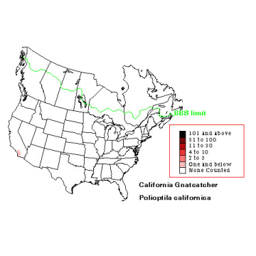 California Gnatcatcher distribution map