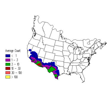 Cactus Wren winter distribution map