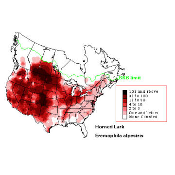 Horned Lark distribution map