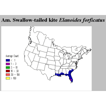 Swallow-tailed Kite distribution map