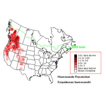 Hammond's Flycatcher distribution map