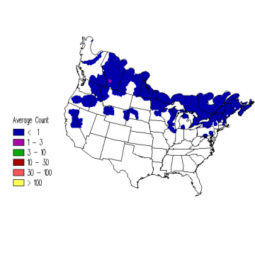 Black-backed Woodpecker winter distribution map