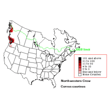 Northwestern Crow distribution map
