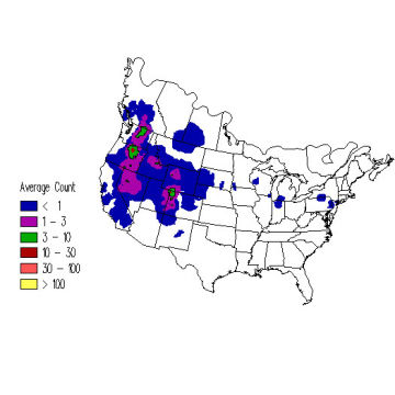 Chukar winter distribution map