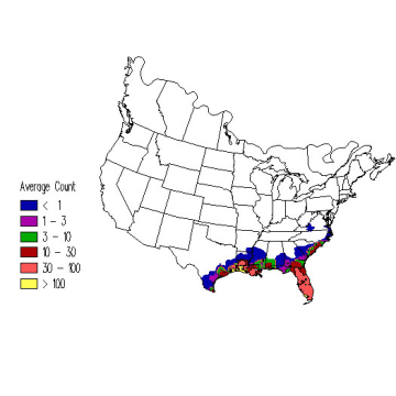 American White Ibis winter distribution map