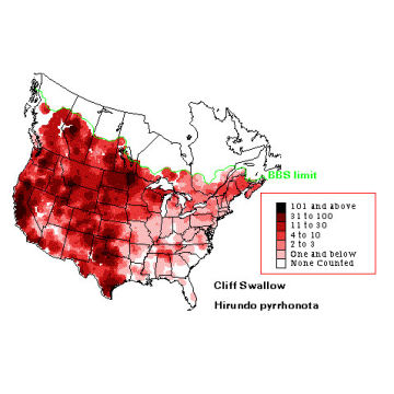 Cliff Swallow distribution map