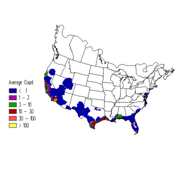 American Avocet winter distribution map
