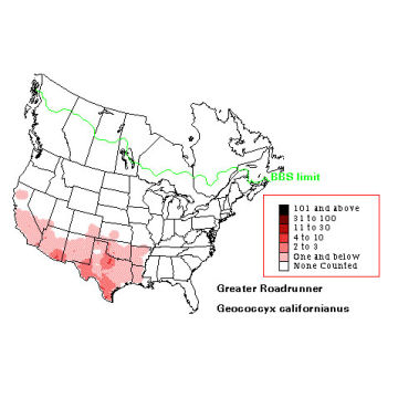 Greater Roadrunner distribution map