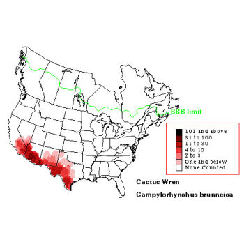 Cactus Wren distribution map