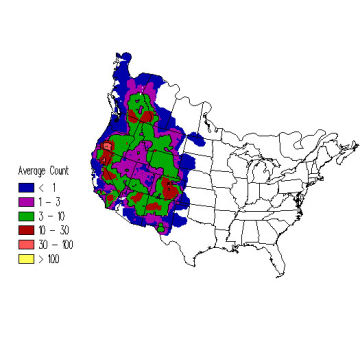 Mountain Chickadee winter distribution map