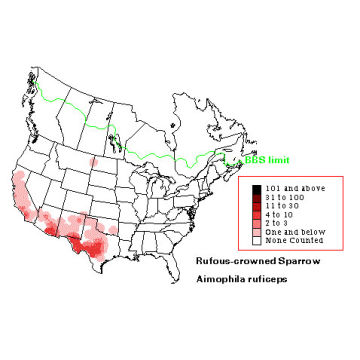 Rufous-crowned Sparrow distribution map