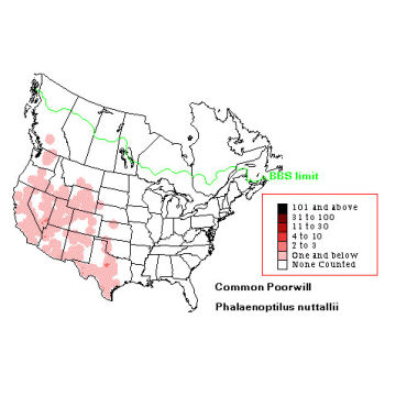 Common Poorwill distribution map