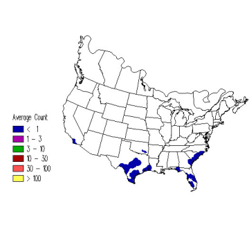 Least Tern winter distribution map