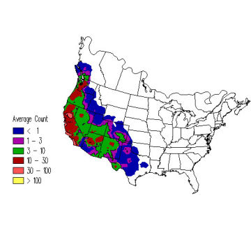 Bushtit winter distribution map