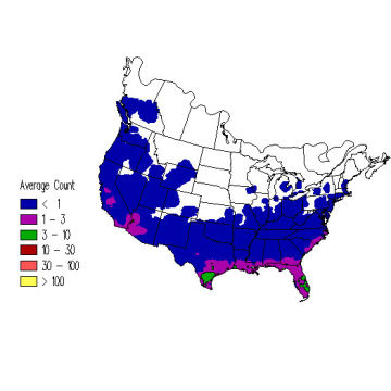 House Wren winter distribution map