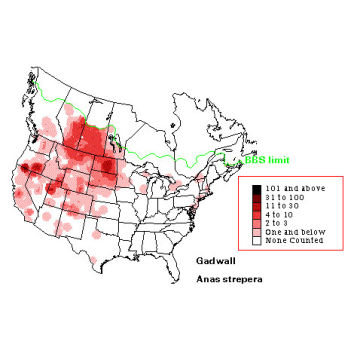 Gadwall distribution map