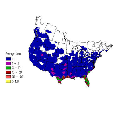 Blue-winged Teal winter distribution map