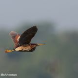 In flight