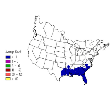 Bachman's Sparrow winter distribution map
