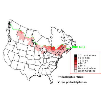 Philadelphia Vireo distribution map