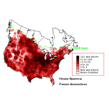 House Sparrow distribution map
