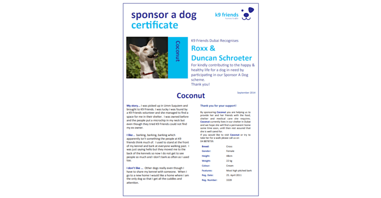 Coconut, a West Asian Village Dog tested with EmbarkVet.com