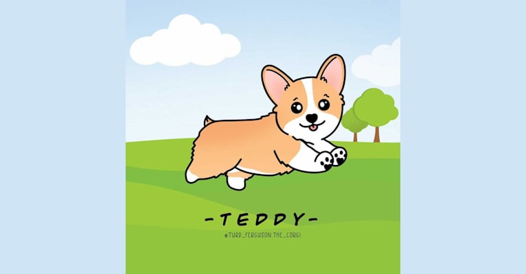 Lil Teddy, a Pembroke Welsh Corgi tested with EmbarkVet.com