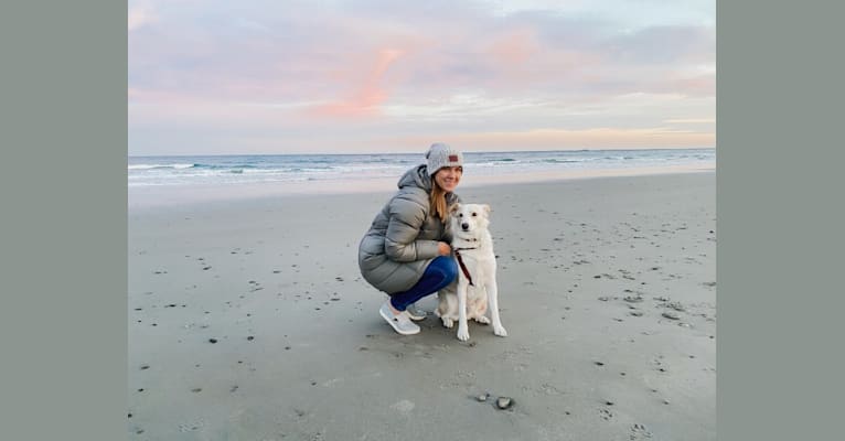 Finley, a Great Pyrenees and Border Collie mix tested with EmbarkVet.com