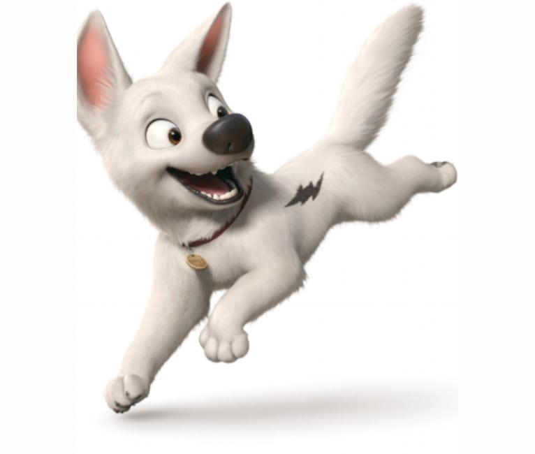 Kia, a German Shepherd Dog and Siberian Husky mix tested with EmbarkVet.com