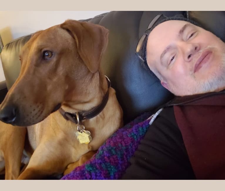 embark dog dna test breed
