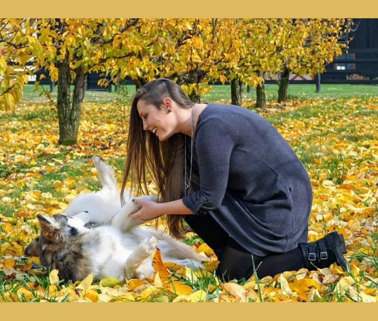 Wild Side of the Moon (Aleuna) a dog tested with EmbarkVet.com