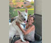 Zeus Barron, a German Shepherd Dog and Siberian Husky mix tested with EmbarkVet.com