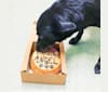Angel, a Rottweiler and Labrador Retriever mix tested with EmbarkVet.com