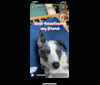 Pua, an Australian Cattle Dog and Australian Shepherd mix tested with EmbarkVet.com