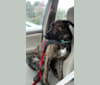 Rupert, a German Shepherd Dog and Bulldog mix tested with EmbarkVet.com
