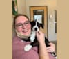 Bessie Doogie, a Rat Terrier and Labrador Retriever mix tested with EmbarkVet.com