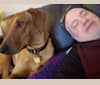 Rusty, a Doberman Pinscher and German Shepherd Dog mix tested with EmbarkVet.com