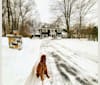 Photo of Danny, an Irish Setter  in Connecticut, USA
