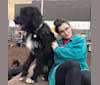Magpie, a Labrador Retriever and Romanian Mioritic Shepherd Dog mix tested with EmbarkVet.com