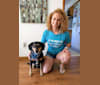 Bandit, a Beagle and German Shepherd Dog mix tested with EmbarkVet.com