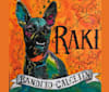 Photo of Raki, a Chihuahua and Mixed mix in Seguin, Texas, USA